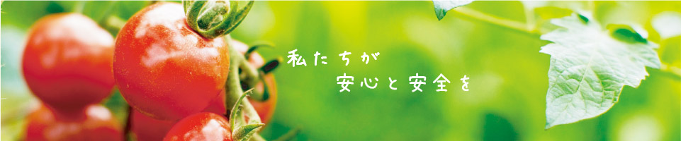 Slideshow Image 2